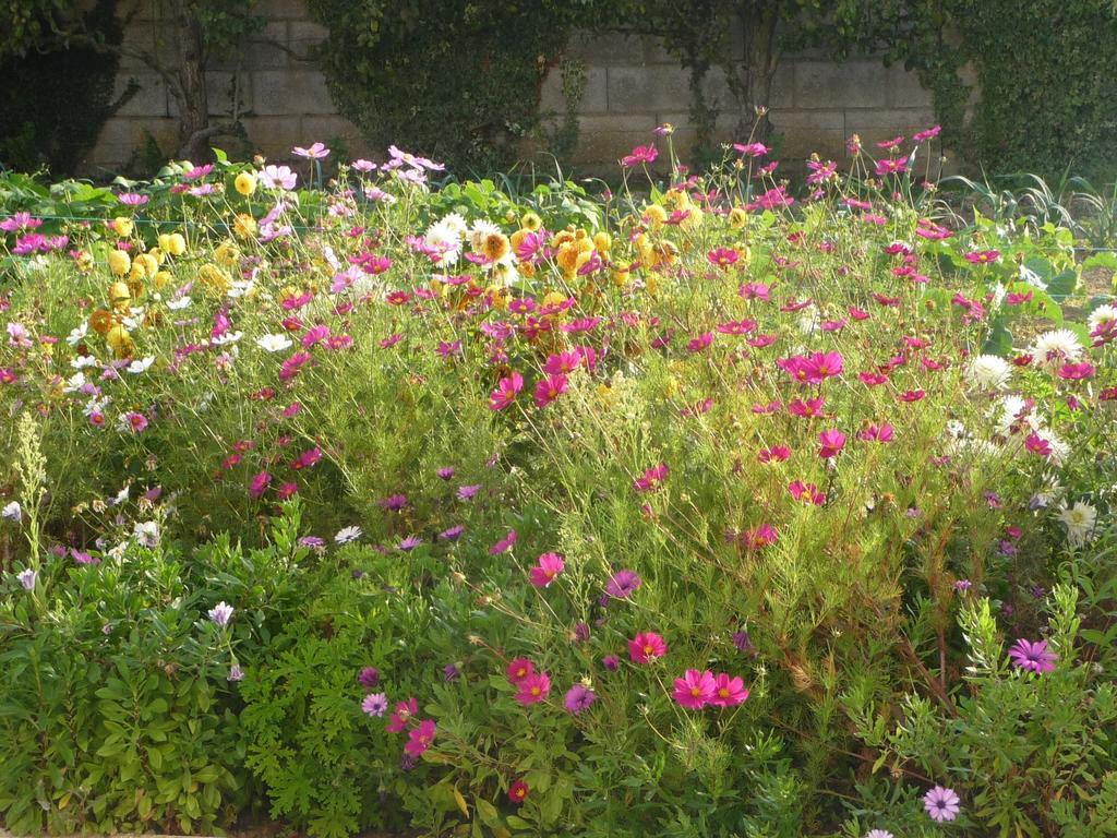 Chambre D'Hote Fleur De Potager Les Sables-dʼOlonne Exteriör bild