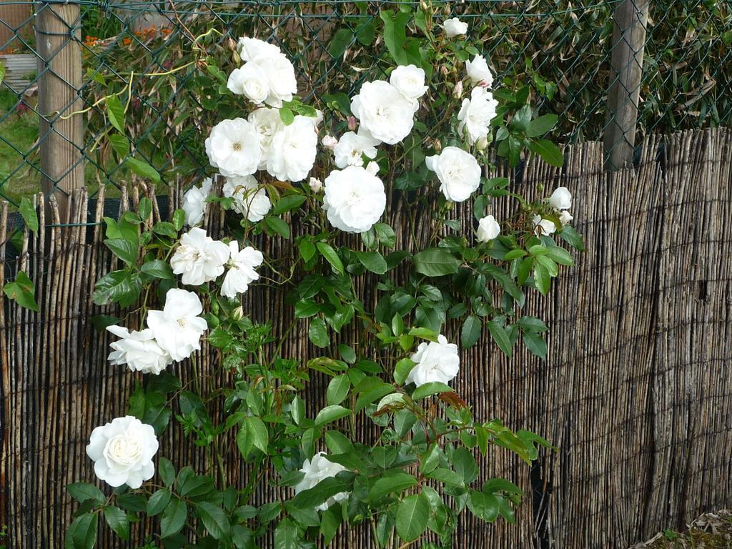Chambre D'Hote Fleur De Potager Les Sables-dʼOlonne Exteriör bild